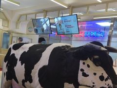 -红星前进面包牛奶公司(君太店)