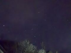 -栾川竹海野生动物园