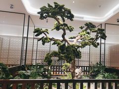 -眉州东坡(大悦城店)