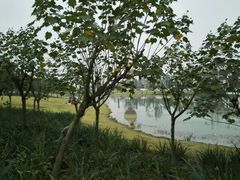 -两河城市森林公园