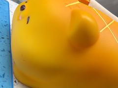 -半岛宠物医院24小时(白果林店)