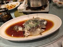 -同济大酒店(绿宝广场店)