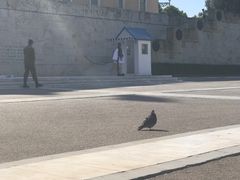 -宪法广场