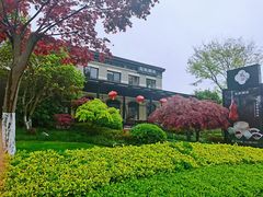 -荷风细雨·中国茶宴(碧云店)