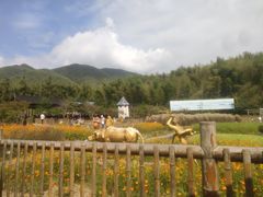 -宁波浙东大竹海景区