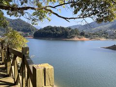 -广州市流溪河国家森林公园