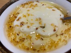 -古树酸奶(八廓南街店)