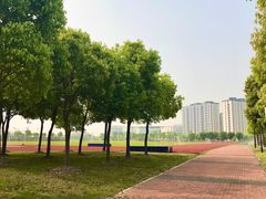 -上海惠灵顿外籍人员子女学校