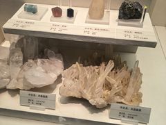 -天津自然博物馆