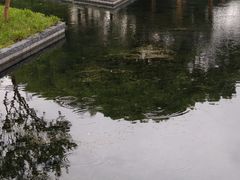 -蠡湖大桥公园