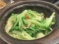 生啫罗马生菜-十六台·经典广东菜(德外大街店)