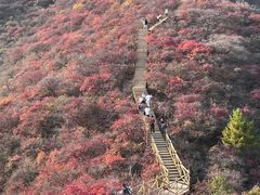 -水峪民俗村