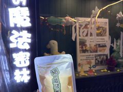 -猫的魔法密林(衣裳街店)