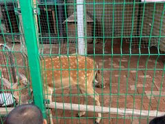 -大鹅岛绿色生态美食园