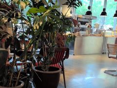 -巴黎春天(浦建店)