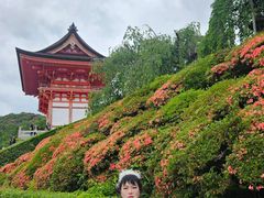 -有栖山 清光院 清水寺