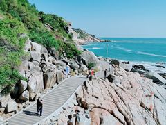 -广东惠东海龟国家级自然保护区