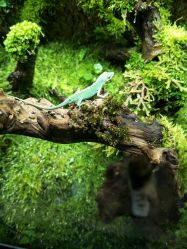 -酷嗒动物文化乐园(cutezoo西溪乐天城店)