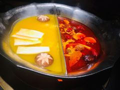 红颜花胶鸡锅底-湊湊火锅·茶憩(恒隆广场店)