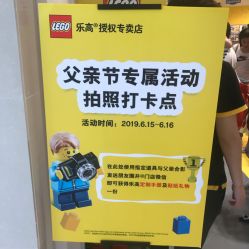 -乐高授权专卖店(华采天地店)