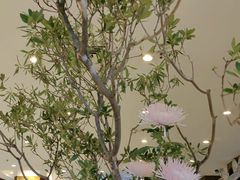 -眉州东坡(亚运村店)