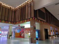 -深影国际影城(学院南路店CGS中国巨幕店)