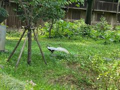 -福建鲤鱼洲酒店