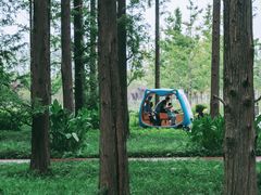 -黄海国家森林公园