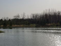 -大兴滨河森林公园