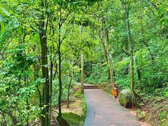 -赤水丹霞旅游区·佛光岩