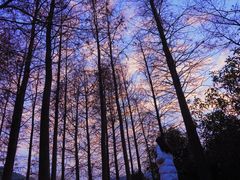 -宝界山林公园