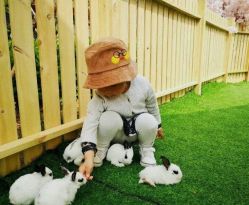 -萌宠亲子动物乐园(槐房万达店)