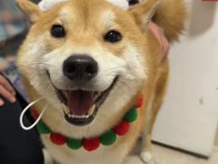 -布吉佳兆业广场