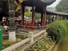 -龙潭水乡