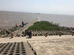 -瀛洲公园