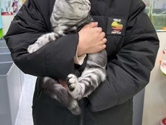 -唐小姐の猫狗洗护·购宠旗舰店(周浦万达店)