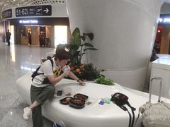 -陈鹏鹏潮汕菜(宝安机场T3航站楼店)