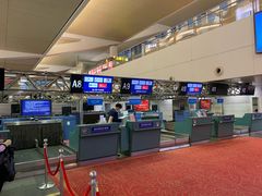 -厦门高崎国际机场-T3航站楼