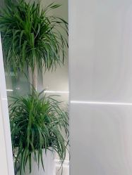 -肤原祛痘修肤中心