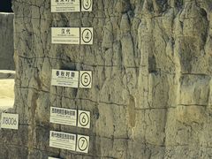 -金沙遗址博物馆