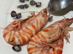 野生大斑节虾-凯华海鲜火锅·传承三十六年