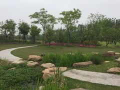 -上海长兴岛郊野公园