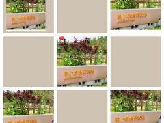 -前小桔亲子创意农场·草莓采摘·露营烧烤