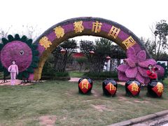 -武汉紫薇都市田园