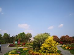 -南京银杏湖乐园