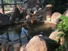 -瑞阁温泉酒店温泉中心