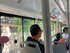 -王顺山国家森林公园