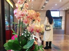 -海逸海鲜酒家(古北店)