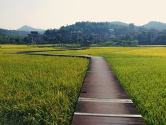 -红山村