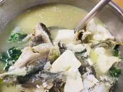 豆腐香菜杂鱼煲-华源餐厅·海鲜大排档(日月贝店)